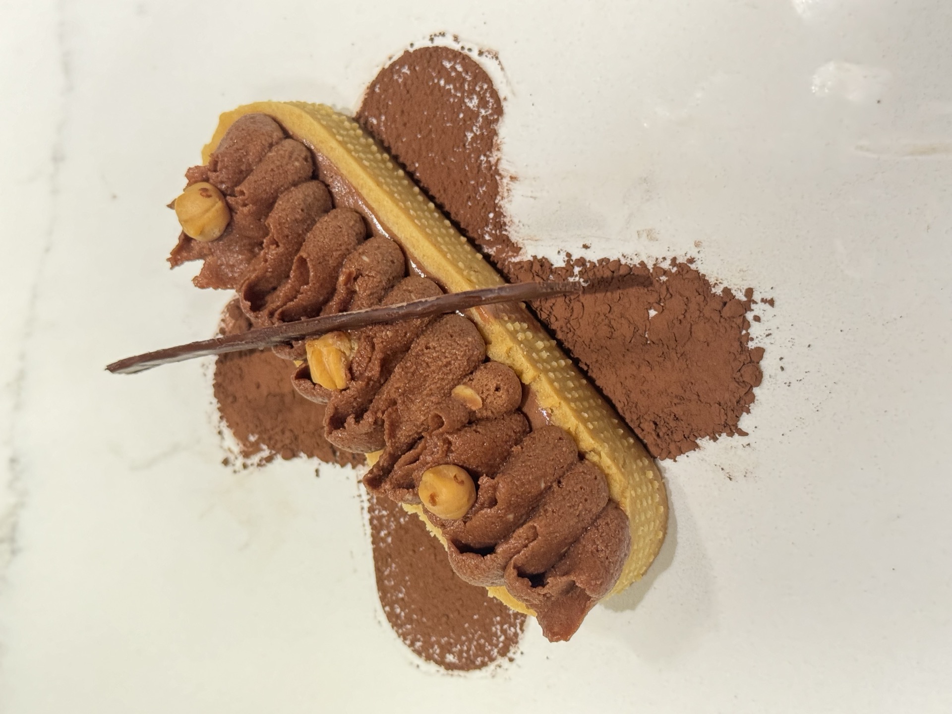 A chocolate tart topped with hazelnuts and dusted with cocoa